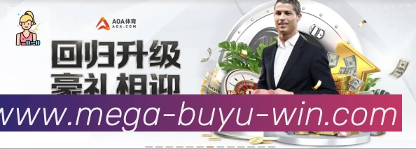 奖项证书